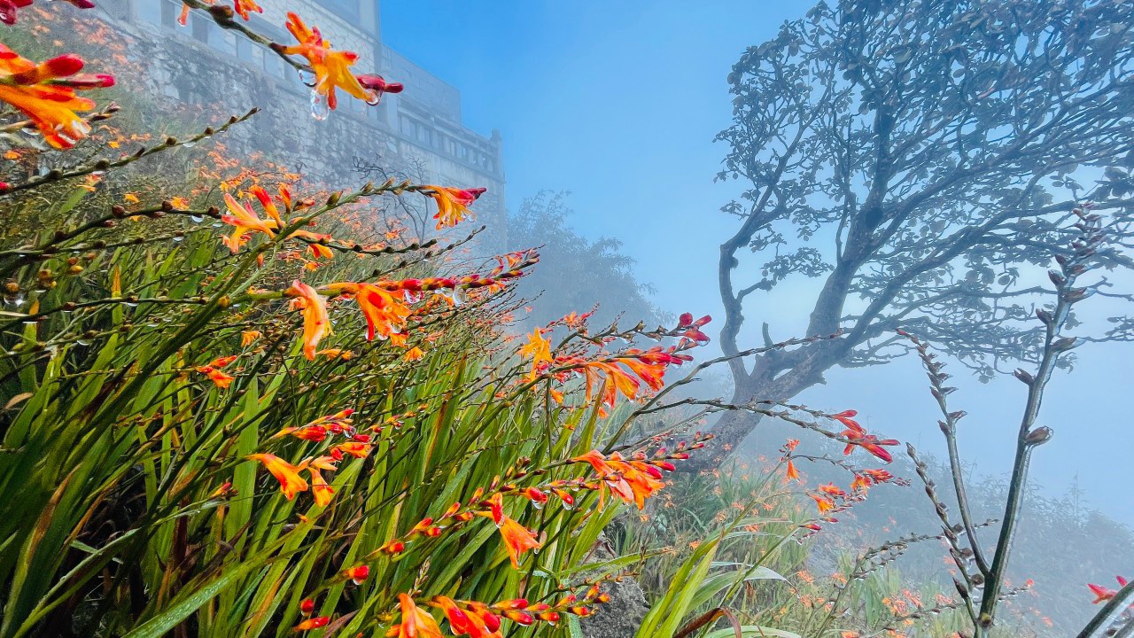 Fansipan lần đầu xuất hiện băng giá, nhiệt độ ngoài trời -2 độ C - Ảnh 3