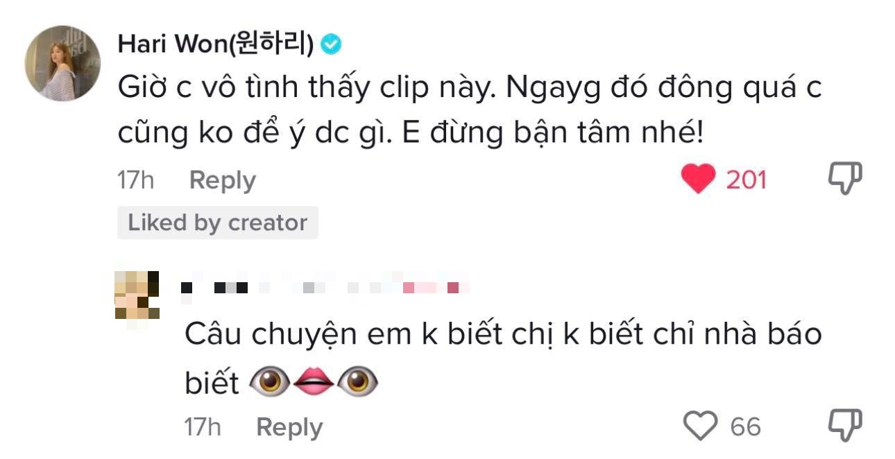 Hari Won để lại bình luận an ủi Tiktoker chen lấn mình. Ảnh: Chụp màn hình