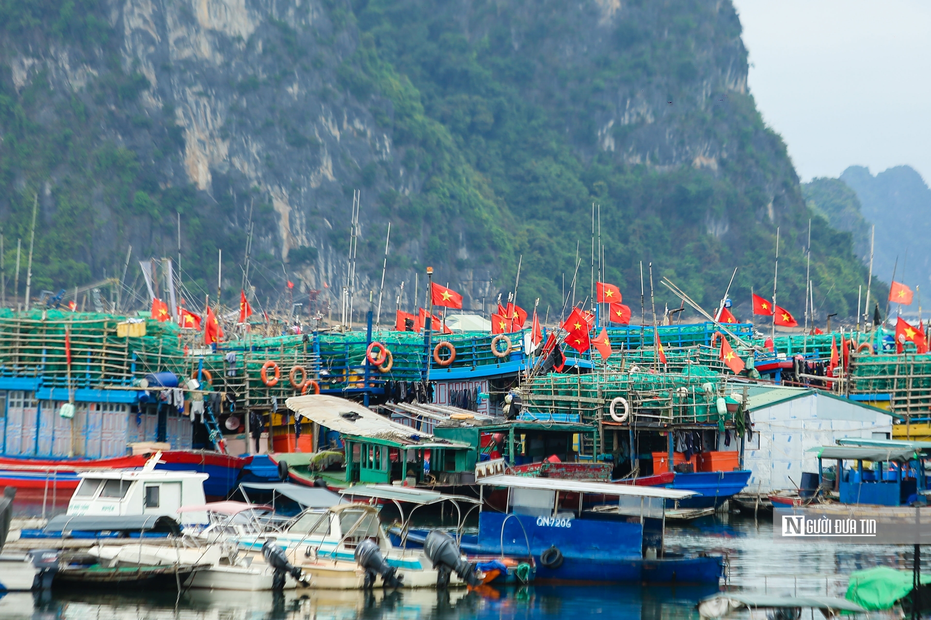 Gỡ cảnh báo 'Thẻ vàng' không phải chỉ để đối phó với EC mà vì mục tiêu phát triển ngành thủy sản Việt Nam (Ảnh: Hữu Thắng).