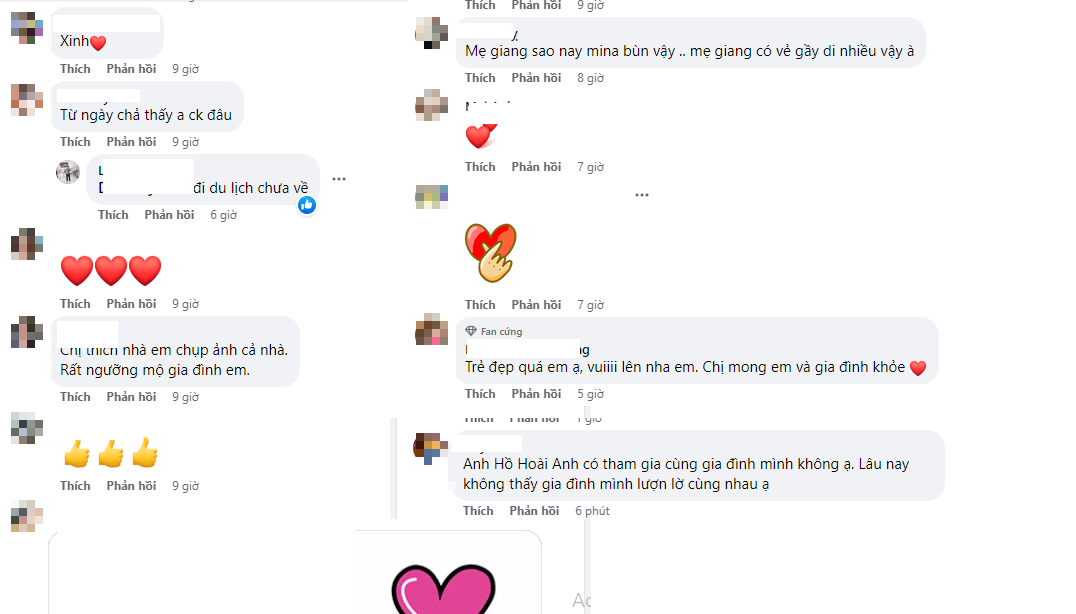 Không ít khán giả tỏ ra bất ngờ khi trong khoảnh khắc gia đình này không có sự xuất hiện của Hồ Hoài Anh. Ảnh: Chụp màn hình Không ít khán giả tỏ ra bất ngờ khi trong khoảnh khắc gia đình này không có sự xuất hiện của Hồ Hoài Anh. Ảnh: Chụp màn hình