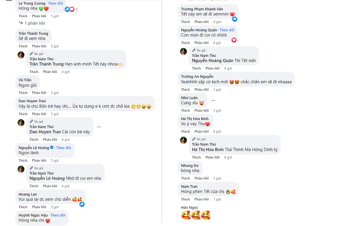 CDM bình luận dưới bài đăng của Nam Thư. Ảnh: Chụp màn hình