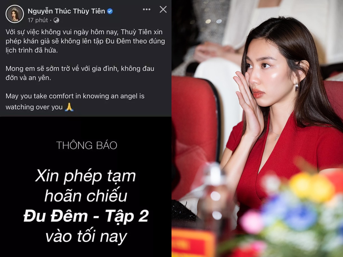 Thùy Tiên quyết định tạm hoãn chiếu chương trình giải trí để tưởng niệm Hạo Nam. Ảnh: Tổng hợp