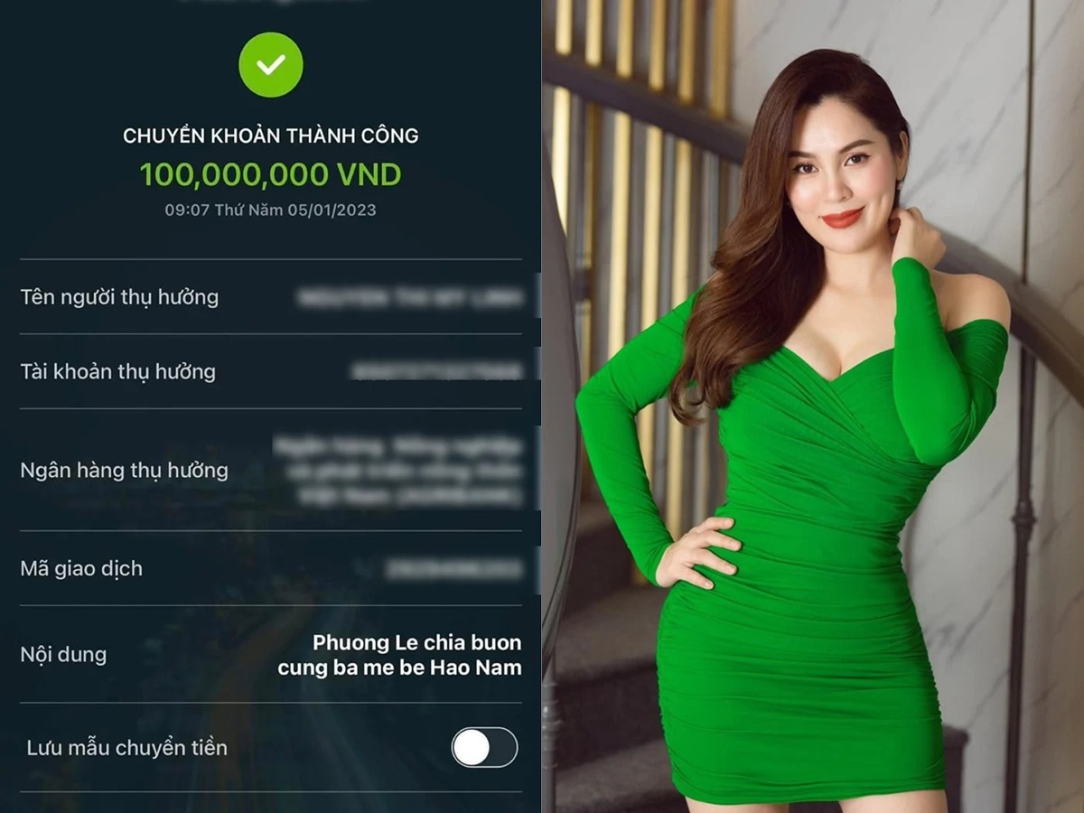 Hoa hậu Phương Lê chuyển khoản 100 triệu đồng giúp gia đình bé Hạo Nam. Ảnh: Internet