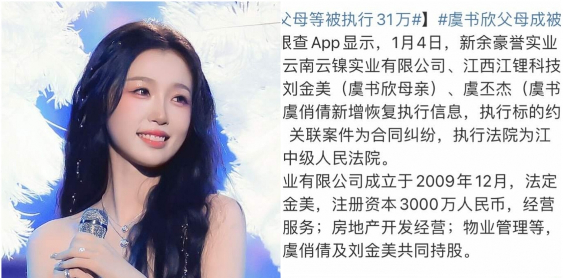 Theo tin tức, vào ngày 4/1, công ty TNHH Công thương nghiệp Vân Nam Vân Thiết, công ty TNHH Khoa học Kỹ thuật Giang Tây Giang Thiết có người đại diện pháp lý là Lưu Kim Mỹ (mẹ của Ngu Thư Hân), Ngu Phi Kiệt (bố của Ngu Thư Hân) chiếm 70% cổ phần, dính vào tranh chấp hợp đồng, phải nộp số tiền lên đến 311 500 NDT (hơn 1 tỷ VNĐ).