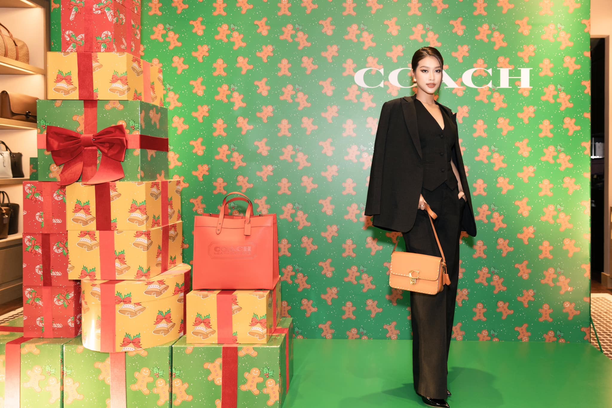 Thiên Ân lăng xê những thiết kế túi xách đắt đỏ