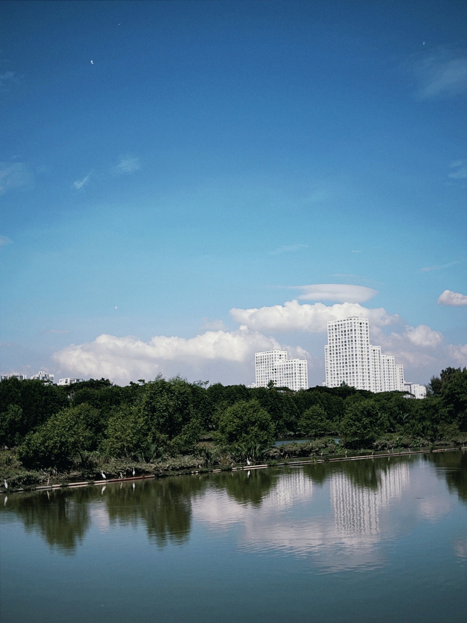 Ảnh Hải Tú đăng