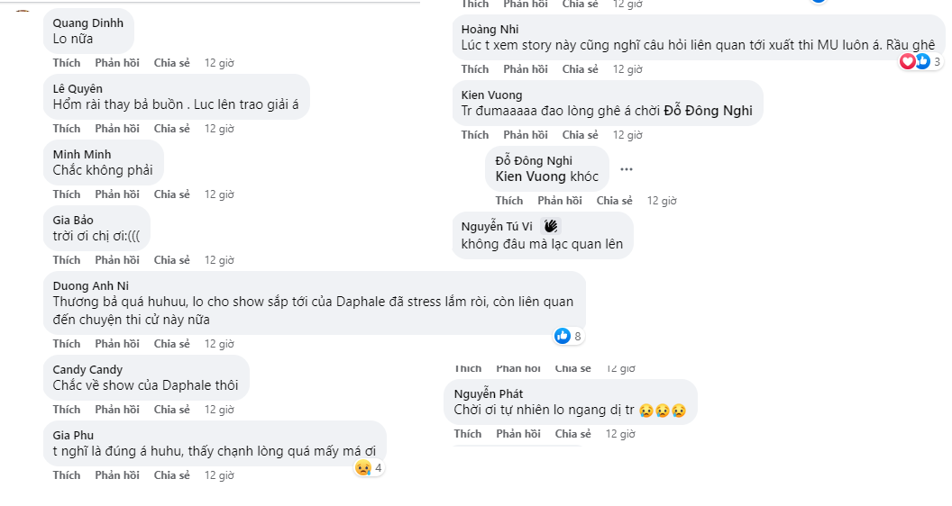 Người hâm mộ tỏ ra lo lắng cho tình trạng của Thảo Nhi Lê ở thời điểm hiện tại