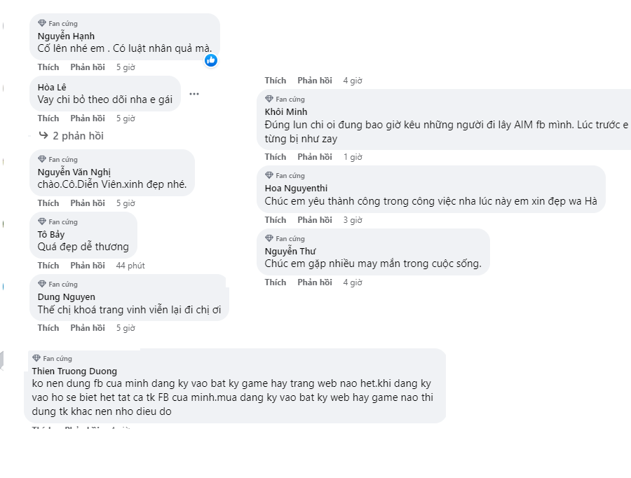 CDM bình luận dưới bài đăng của Dương Cẩm Lynh