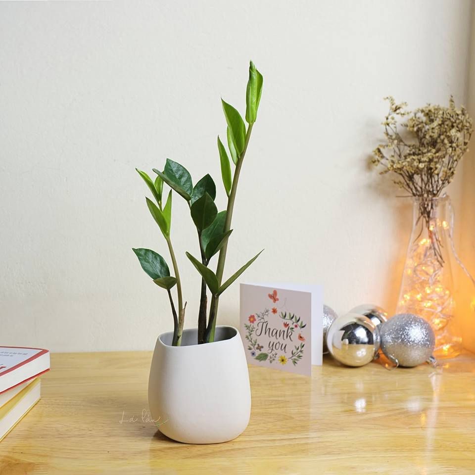 Điểm danh những món đồ kích hoạt tài lộc, Thần Tài nhìn vào là ưng ý 3 Điểm danh những món đồ kích hoạt tài lộc, Thần Tài nhìn vào là ưng ý 3