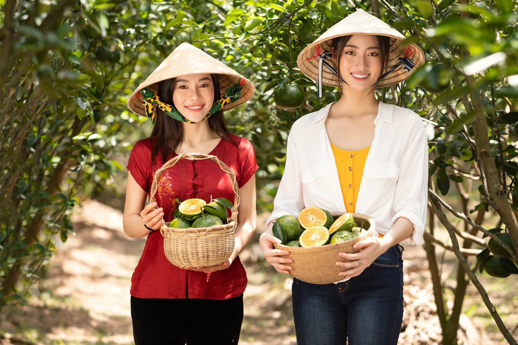 'Bà trùm hoa hậu' Phạm Kim Dung đăng đàn cảnh báo lừa đảo, thủ đoạn tinh vi gây bức xúc 6 'Bà trùm hoa hậu' Phạm Kim Dung đăng đàn cảnh báo lừa đảo, thủ đoạn tinh vi gây bức xúc 6