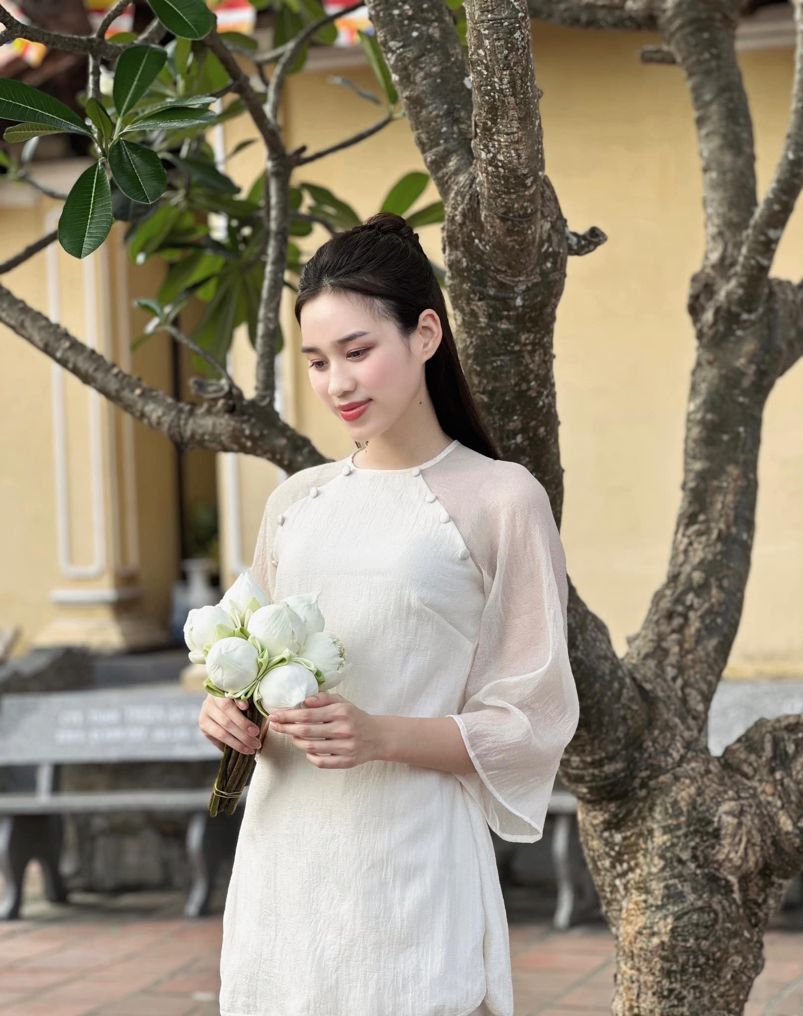 Đỗ Thị Hà ngày càng khẳng định chỗ đứng