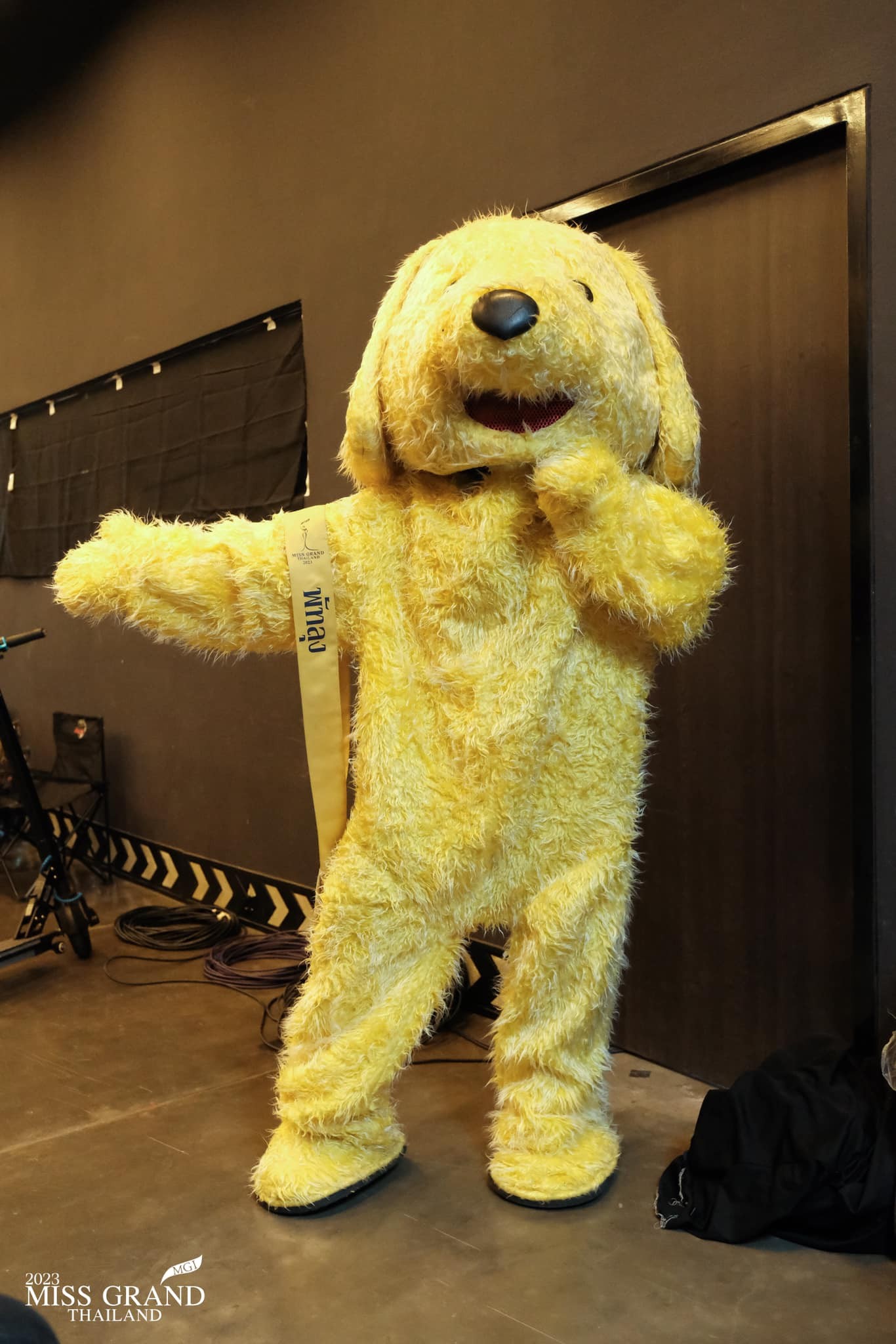 Hết hở hang, thí sinh của tỉnh Phatthalung hóa thành một chú chó bông khi tham gia phần thi phỏng vấn kín 