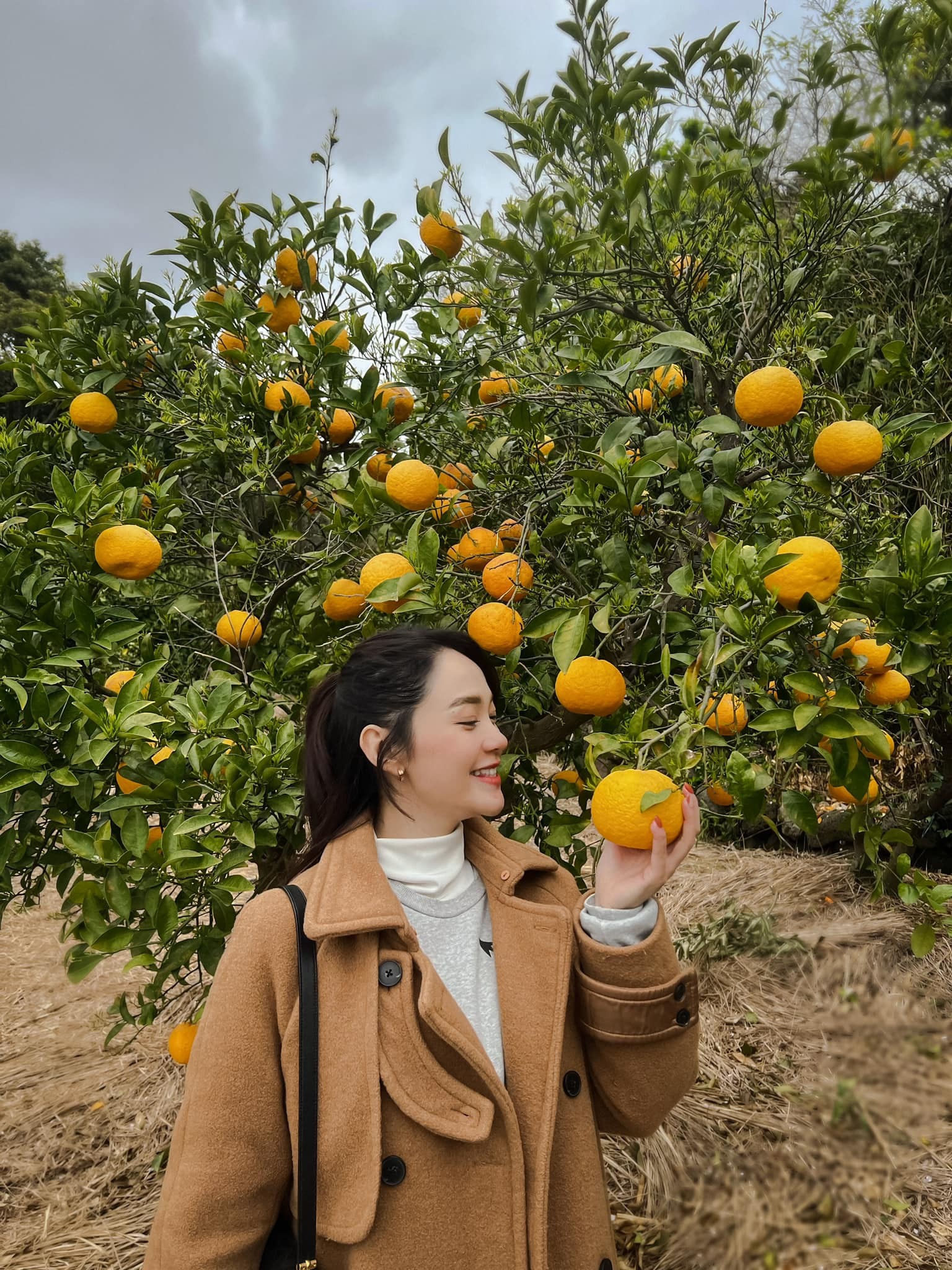 Cuộc sống Minh Hằng sau tam cá nguyệt đầu tiên: Ngập tràn sắc xanh hy vọng! - Ảnh 2