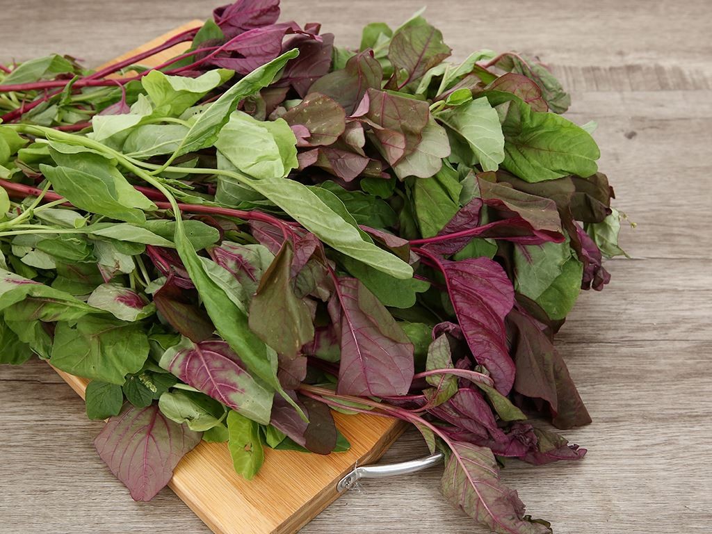 Ăn rau dền đúng cách vào ngày hè