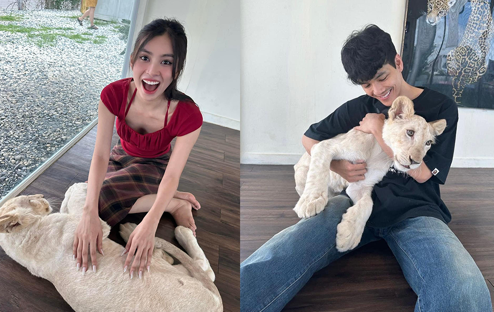 Một trong những bằng chứng làm dấy lên nghi vấn Tiểu Vy và tài tử xứ Chùa Vàng - Nicky Nachat bí mật hẹn hò