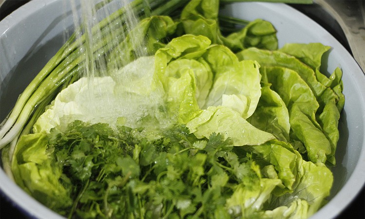 Rau sống chưa rửa sạch chứa nhiều vi khuẩn như E. coli, Salmonella và Listeria