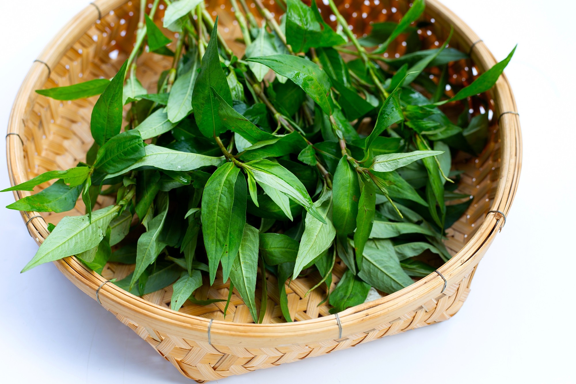 Chớm đông, rẻ đến mấy cũng không được mua những loại rau này - Ảnh 4 Chớm đông, rẻ đến mấy cũng không được mua những loại rau này - Ảnh 4