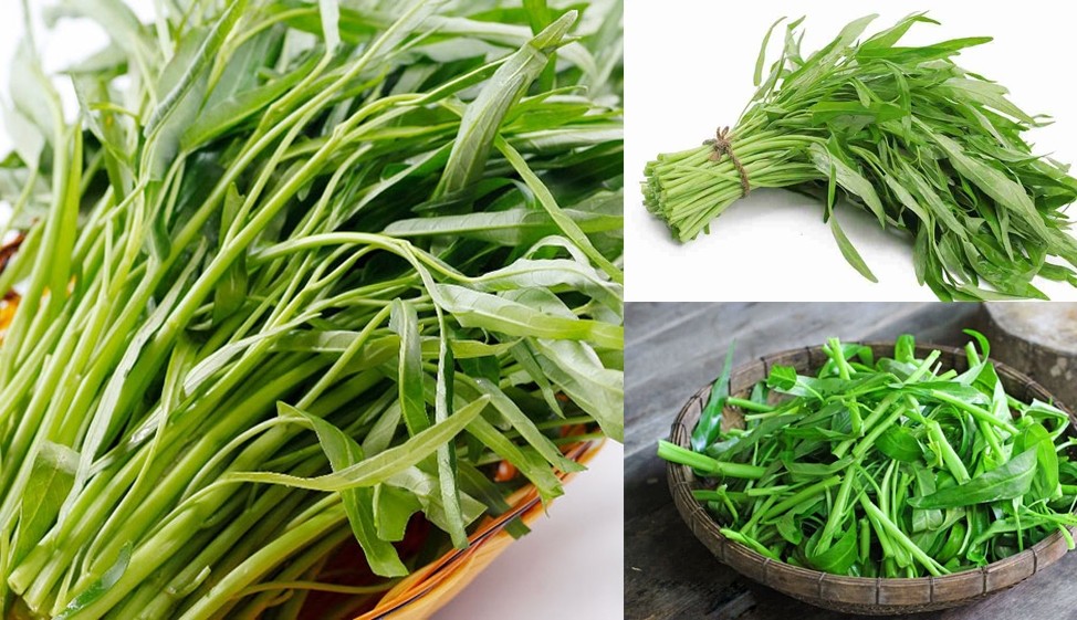 Chớm đông, rẻ đến mấy cũng không được mua những loại rau này - Ảnh 3 Chớm đông, rẻ đến mấy cũng không được mua những loại rau này - Ảnh 3