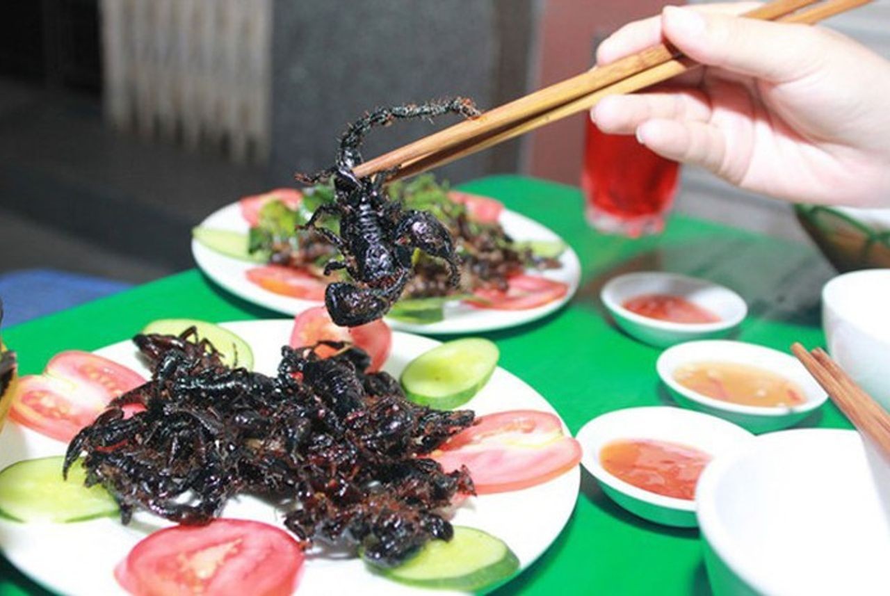 Bò cạp được chế biến thành các món như bò cạp chiên giòn, bò cạp nướng