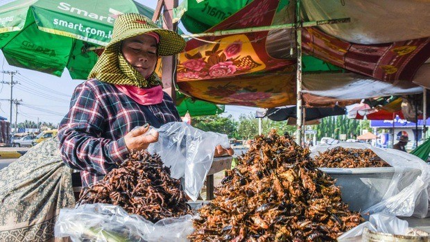 A-Ping - đặc sản trứ danh của Campuchia khiến nhiều du khách phải rén