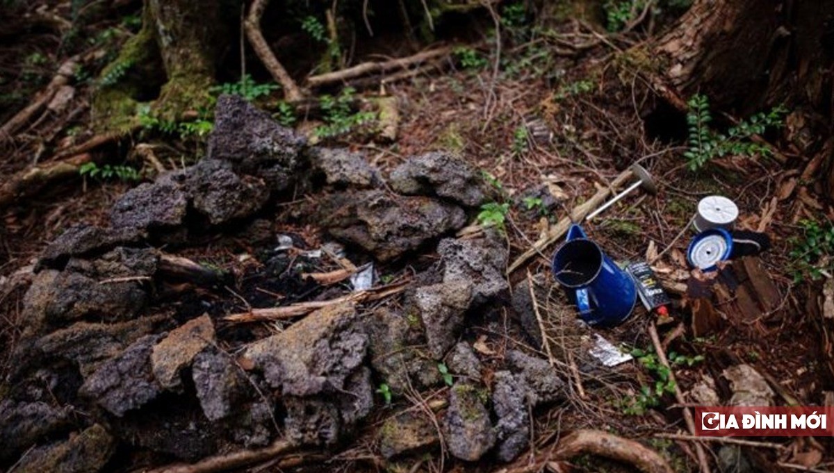 Lăng Mộ Aokigahara