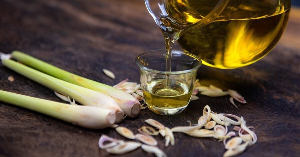 Số ca sốt xuất huyết tăng mạnh, ghim ngay mẹo đuổi muỗi cực nhạy, một đi không dám bén mảng tới - Ảnh 3