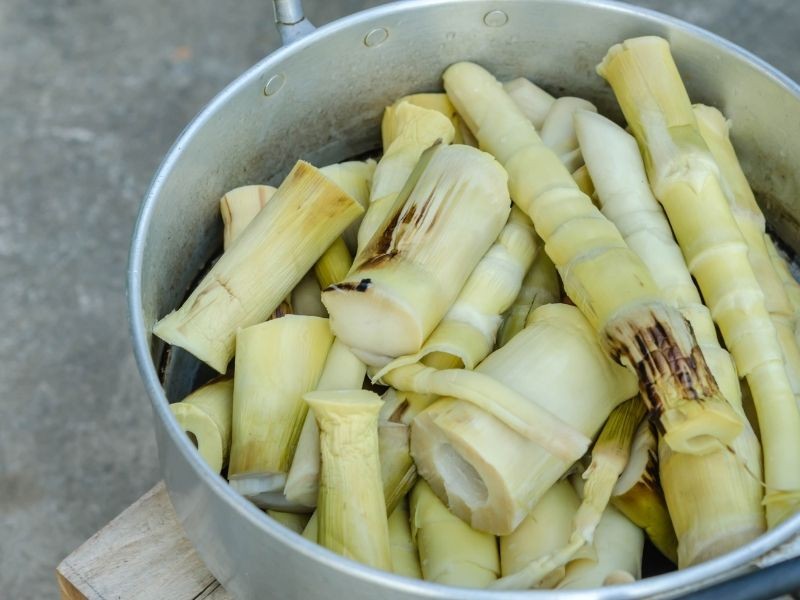 Chuyên gia cảnh báo những loại rau này phải đặc biệt chú ý ở khâu chế biến, dễ rước độc vào thân - Ảnh 2 Chuyên gia cảnh báo những loại rau này phải đặc biệt chú ý ở khâu chế biến, dễ rước độc vào thân - Ảnh 2