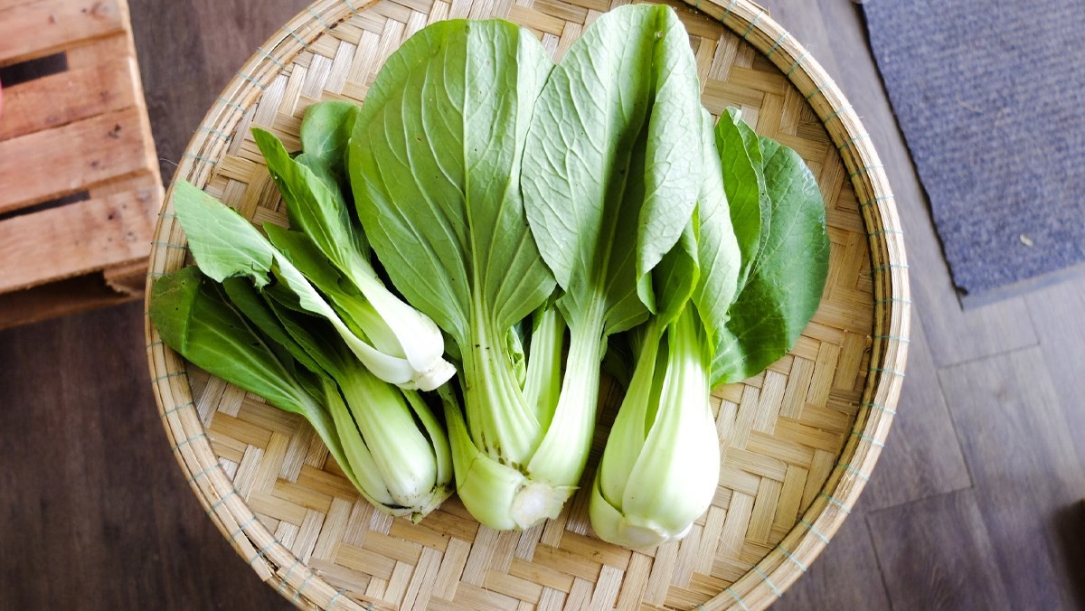 Rau cải Rau cải
