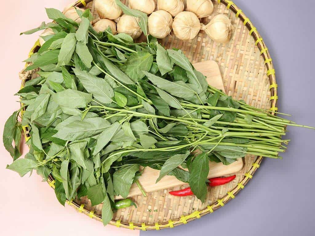 Nếu tiêu thụ một lượng lớn rau đay, có thể gây kích ứng dạ dày và gây rối loạn tiêu hóa