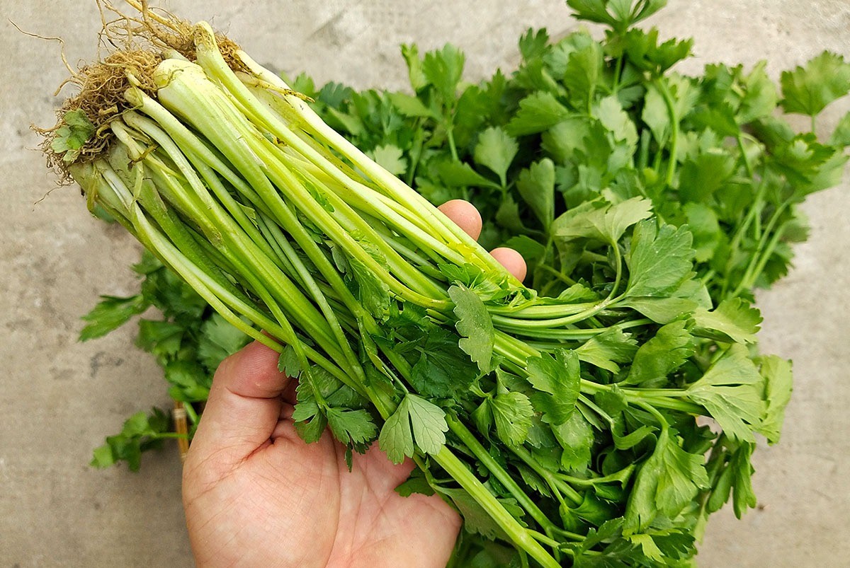 Loại rau củ là 'khắc tinh' khi hầm với xương, đun lên kết thành chất cực hại: Số 2 nhiều người mắc - Ảnh 3