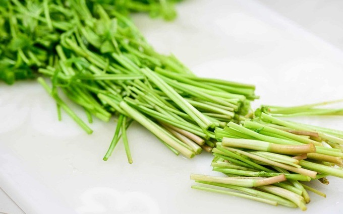 Rau cần vào mùa đông có thể sử dụng các loại phân bón và thuốc kích thích tăng trưởng Rau cần vào mùa đông có thể sử dụng các loại phân bón và thuốc kích thích tăng trưởng
