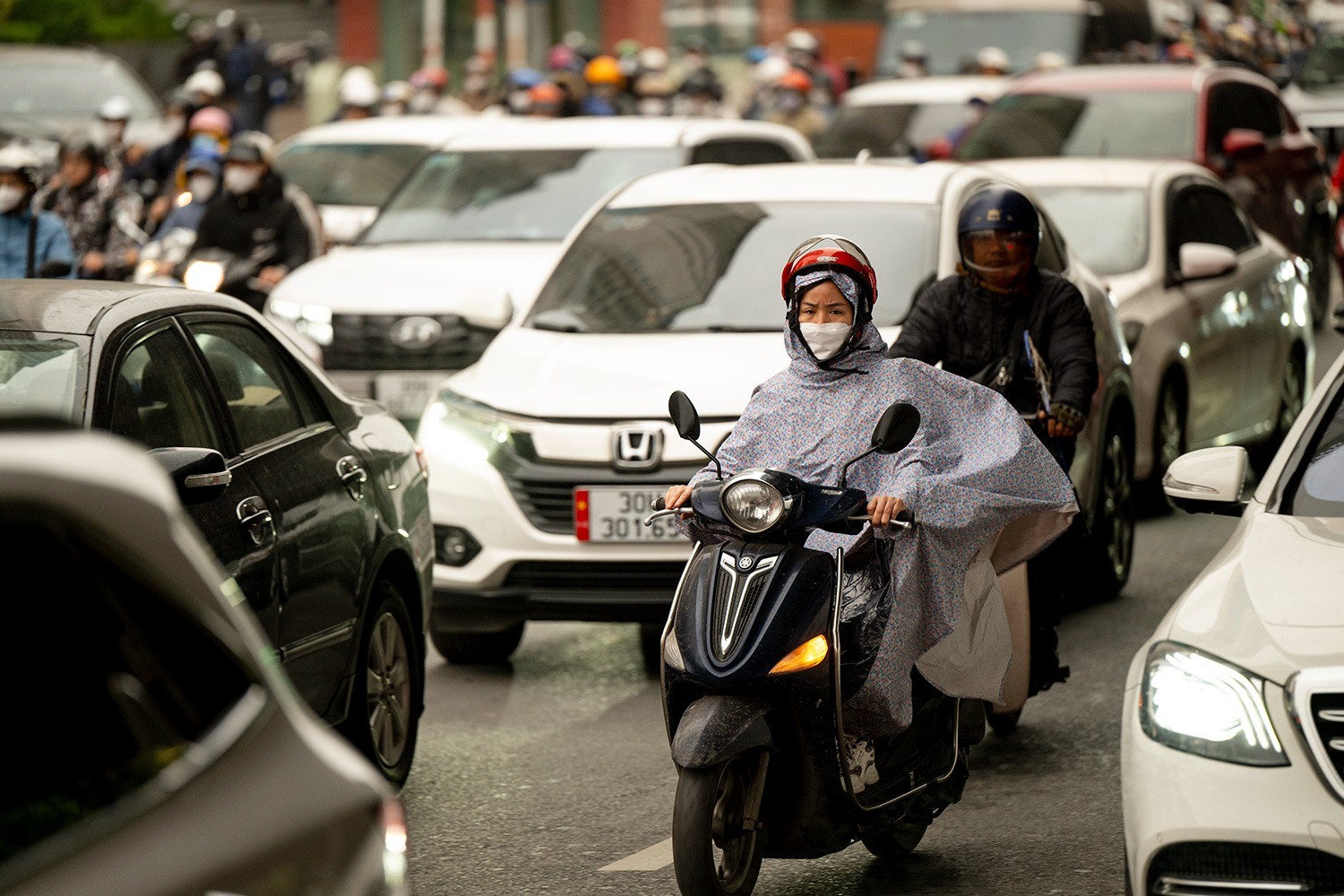 Nhiệt độ giảm thấp có khả năng ảnh hưởng tới con người, cây trồng, vật nuôi. Ảnh: Internet