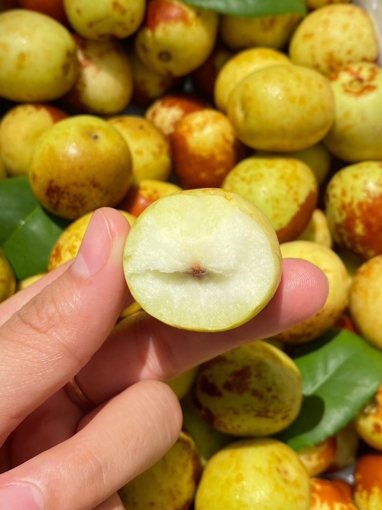 Loại quả đang chính mùa bán đầy rẫy ngoài chợ, được mệnh danh 'nữ hoàng mùa đông' - Ảnh 1 Loại quả đang chính mùa bán đầy rẫy ngoài chợ, được mệnh danh 'nữ hoàng mùa đông' - Ảnh 1