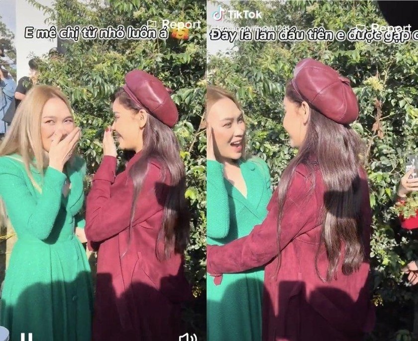 Trương Quỳnh Anh là fan cứng của Mỹ Tâm