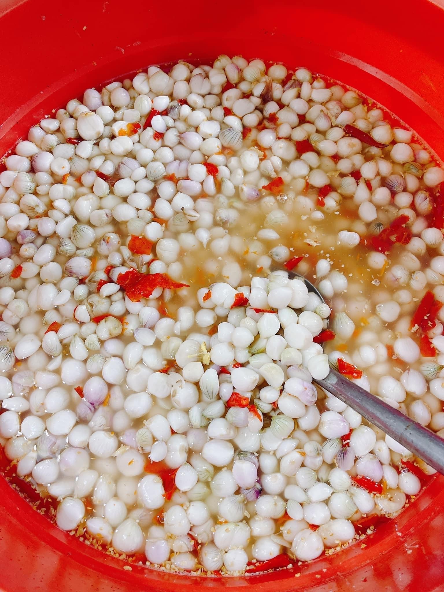 Tết Giáp Thìn 2024: Cách muối dưa hành giòn tan rôm rốp không bị hăng, đãi khách bao nhiêu cũng hết - Ảnh 1