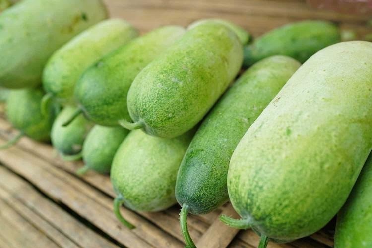 Chọn bí đao để làm mứt Chọn bí đao để làm mứt