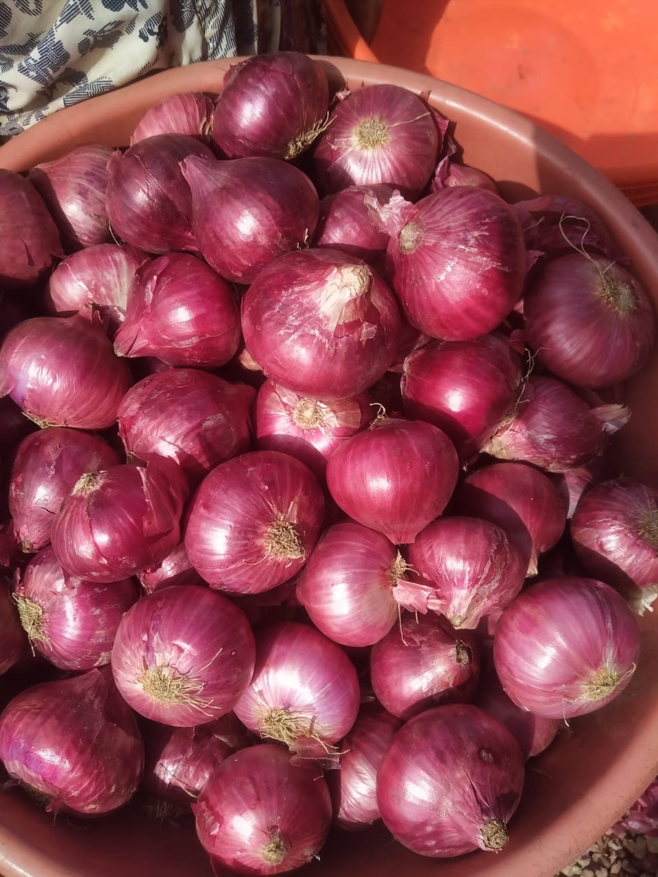 Không chỉ chống ngán hiệu quả, dưa hành muối còn mang đến nhiều lợi ích tuyệt vời đối với sức khỏe