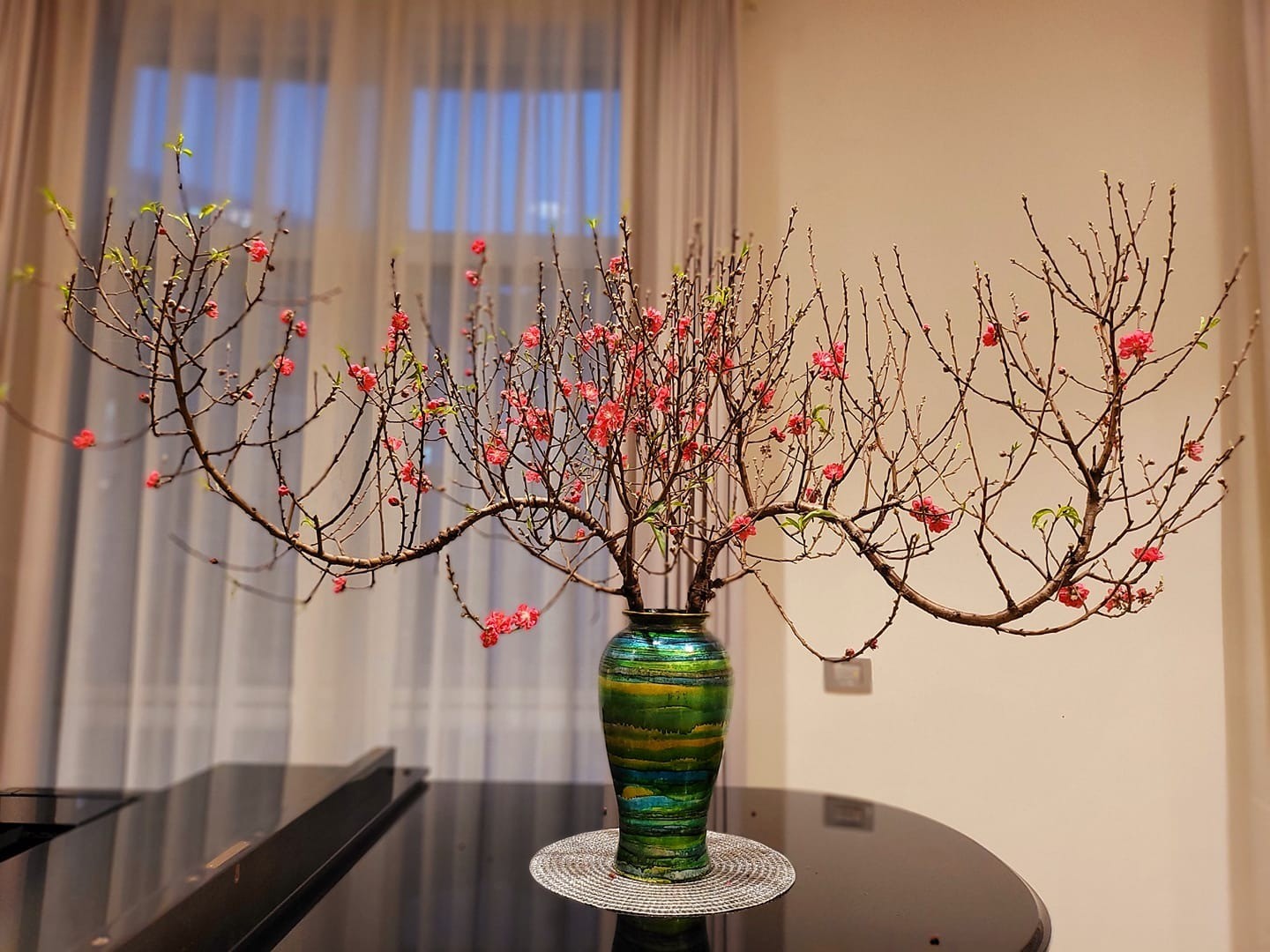 Cách chọn đào chưng Tết 2024, thấy cây có dấu hiệu này rẻ mấy cũng né xa: Chưa hết mùng đã tàn - Ảnh 2