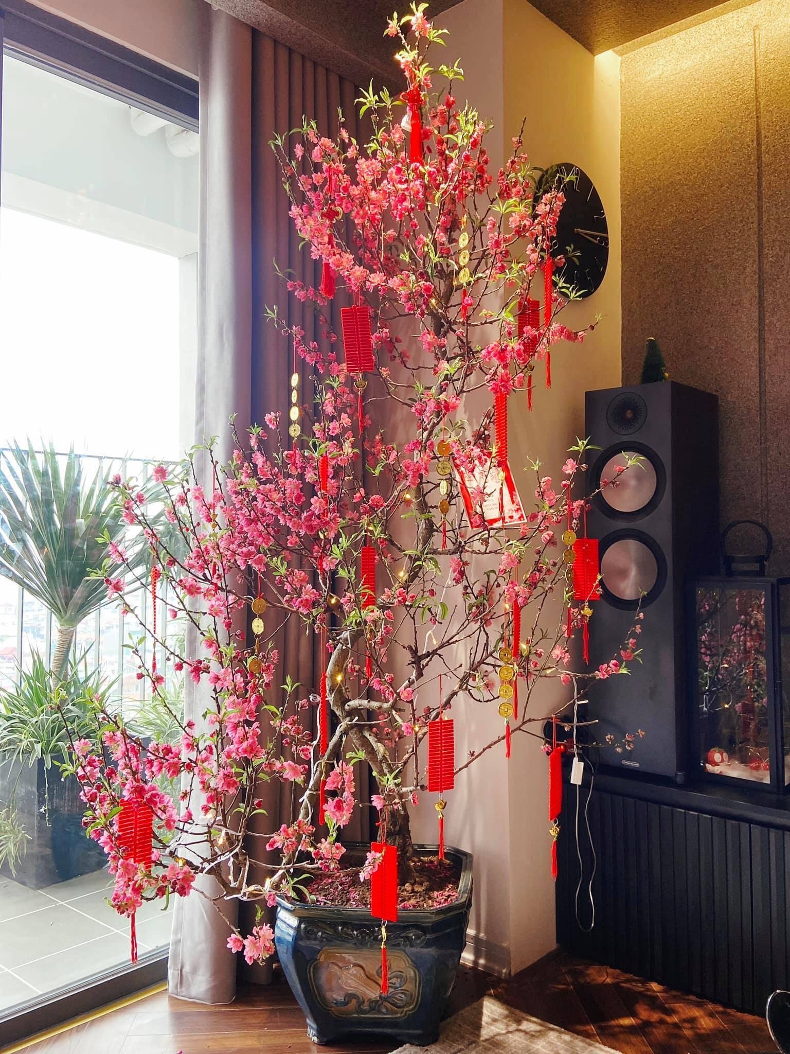 iệc chưng hoa đào không chỉ là cách trang trí tạo nên không khí ấm cúng  mà còn mang theo nhiều ý nghĩa tâm linh và phong thủy