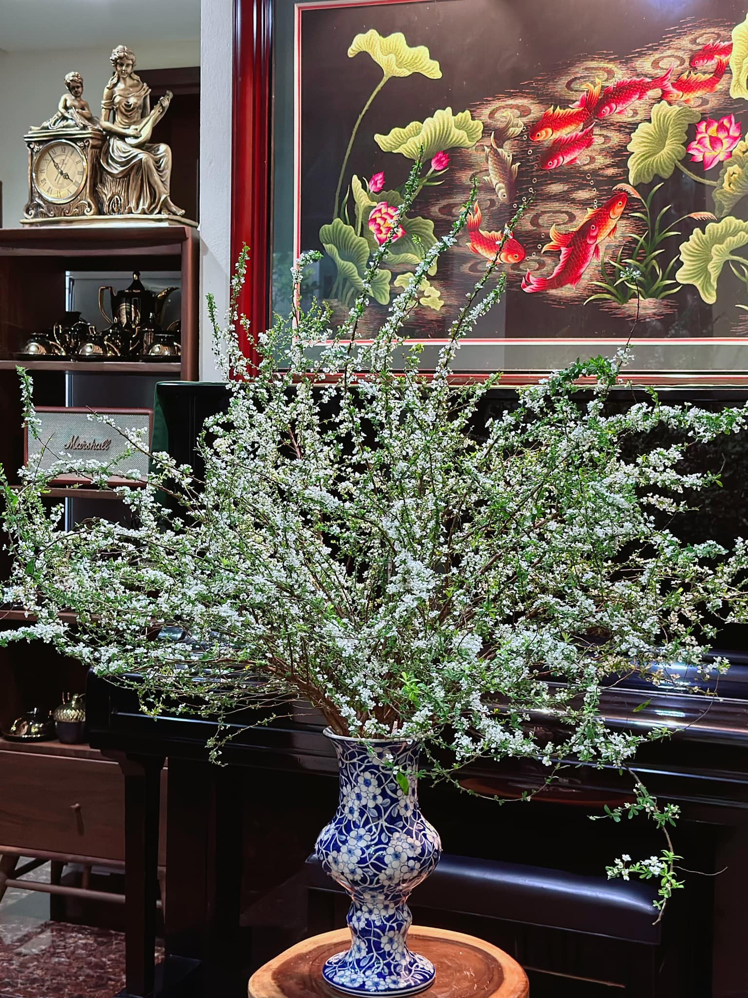 Hoa tuyết mai mang vẻ đẹp thuần khiết