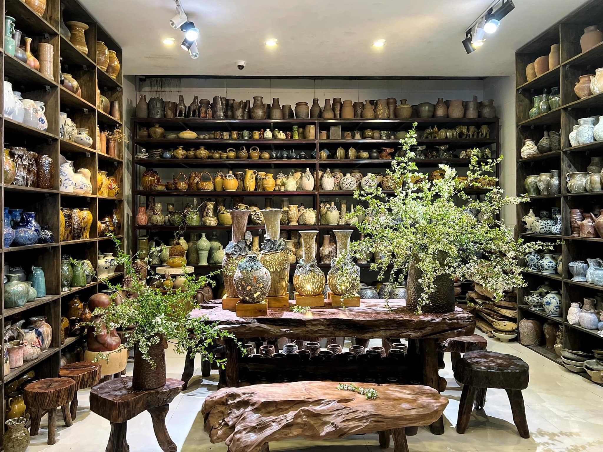 Cắm tuyết mai mãi vẫn như bó 'củi khô', phải chăng chị em đang mắc phải sai lầm này? - Ảnh 3