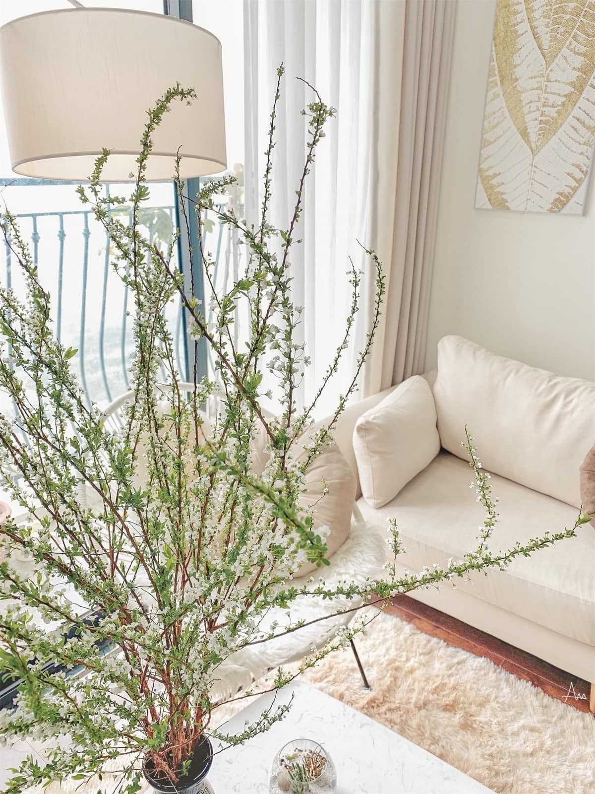 Cắm tuyết mai mãi vẫn như bó 'củi khô', phải chăng chị em đang mắc phải sai lầm này? - Ảnh 1