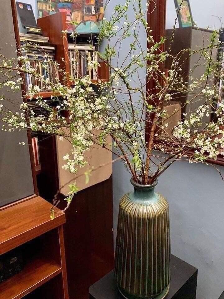 Cắm tuyết mai mãi vẫn như bó 'củi khô', phải chăng chị em đang mắc phải sai lầm này? - Ảnh 6 Cắm tuyết mai mãi vẫn như bó 'củi khô', phải chăng chị em đang mắc phải sai lầm này? - Ảnh 6