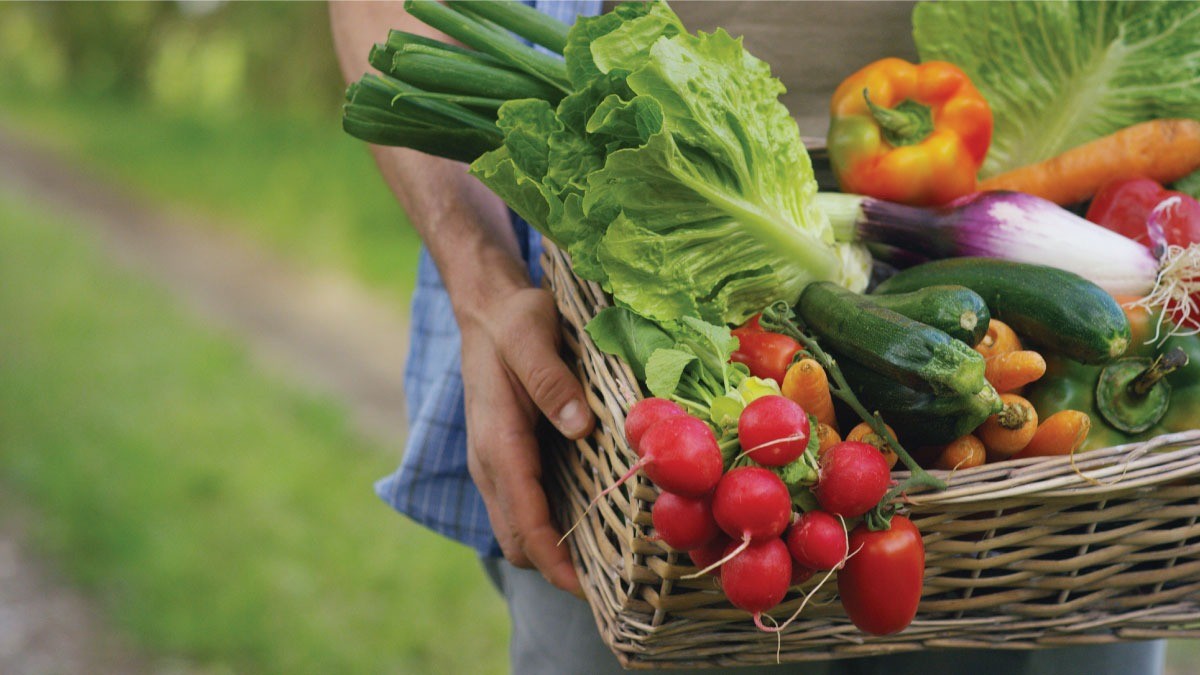 Miền Bắc rét đậm, rét hại: Điểm danh những 'siêu thực phẩm' bảo vệ sức khỏe, tăng cường miễn dịch - Ảnh 2