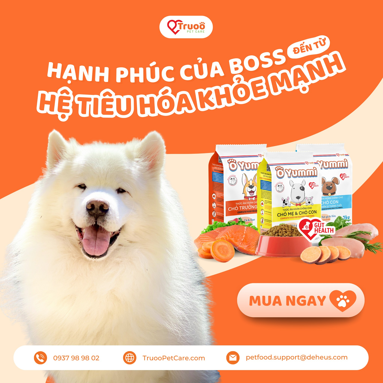 Giải mã 5 điều người nuôi thú cưng hiện đại cần quan tâm khi chọn thức ăn cao cấp cho thú cưng - Ảnh 2 Giải mã 5 điều người nuôi thú cưng hiện đại cần quan tâm khi chọn thức ăn cao cấp cho thú cưng - Ảnh 2