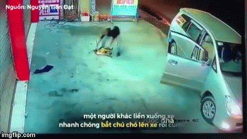 Clip: Phẫn nộ cẩu tặc đi ô tô trộm chó nhanh như cắt