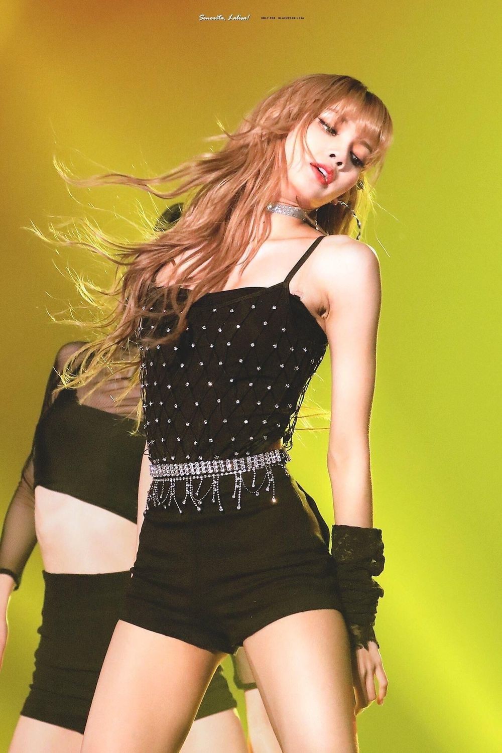 Lý do Lisa (BlackPink) không bao giờ diện bikini dù sở hữu body siêu chuẩn - Ảnh 3