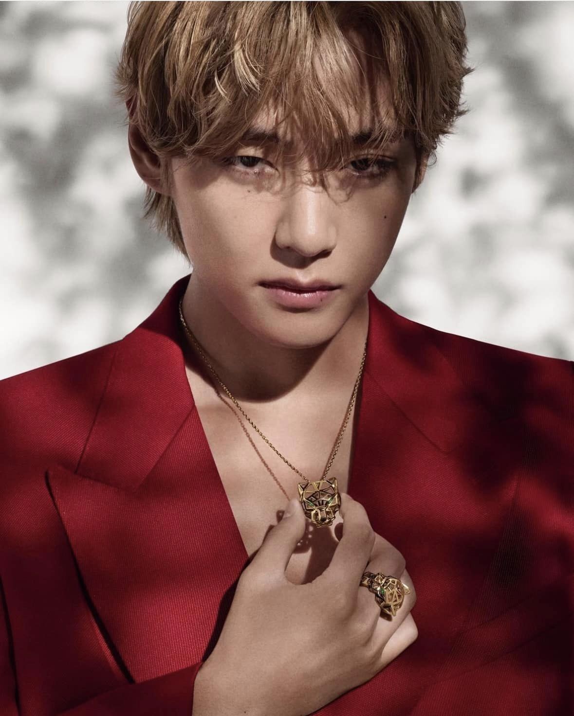 V (BTS) V (BTS)