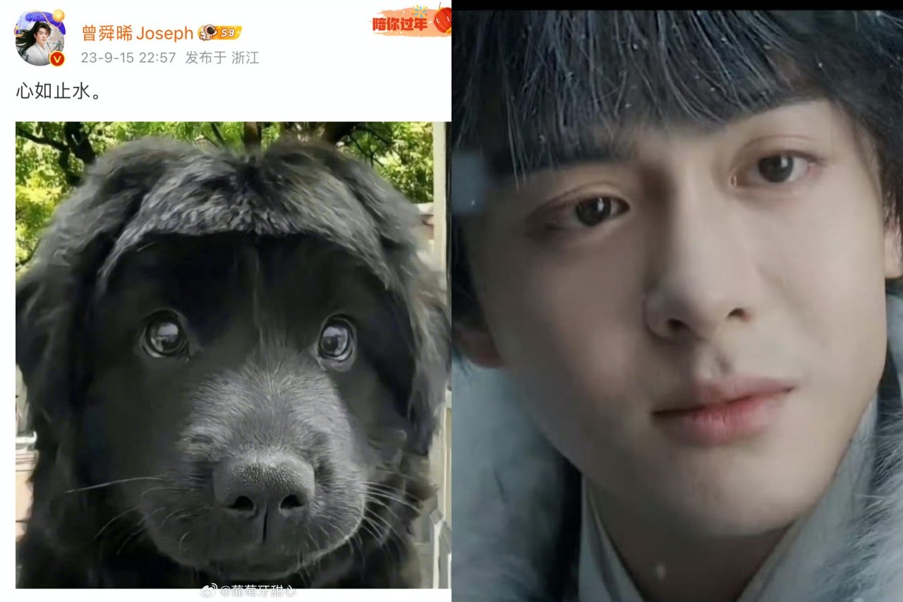 Nam diễn viên Tăng Thuấn Hy khiến dân tình 'dở khóc dở cười'. Trong tập cuối Vân Chi Vũ, nam diễn viên đảm nhận vai cameo nhân vật Tuyết công tử đẹp như hoa. Tuy nhiên khác hẳn với những hình ảnh hậu trường, Tăng Thuấn Hy khi lên phim được 'bonus' một chiếc mái ngố do đoàn làm phim photoshop. Trên Weibo, Tăng Thuấn Hy đăng tải hình ảnh một chú cún với mái tóc ngố kèm caption: 'Tâm lặng như nước'. Cư dân mạng comment anh chàng nên đi... kiện đạo diễn Quách Kính Minh.