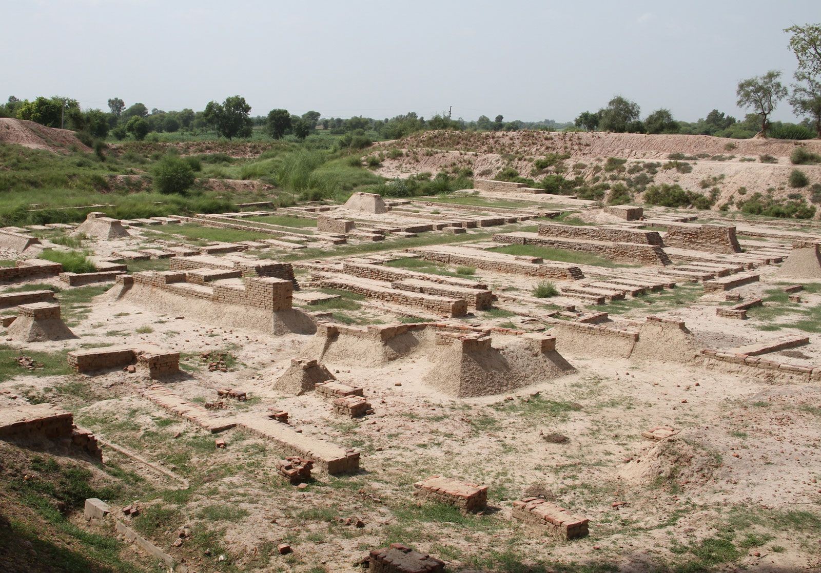 Tàn tích Harappa. Ảnh: Smn121